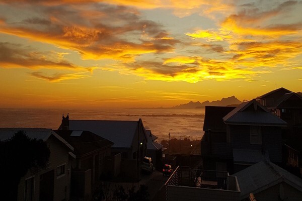 Christie Botha Properties
