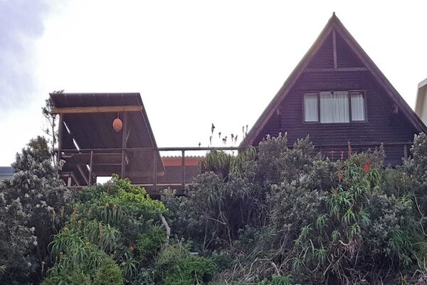 Christie Botha Properties