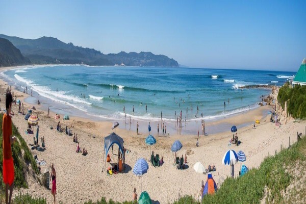 Christie Botha Properties