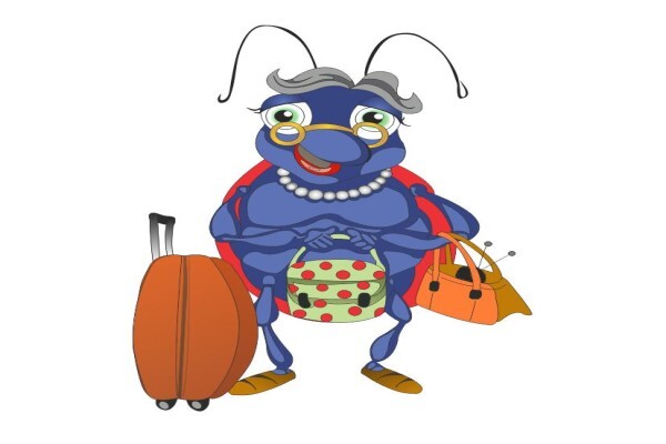 Citybug