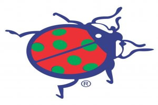Citybug