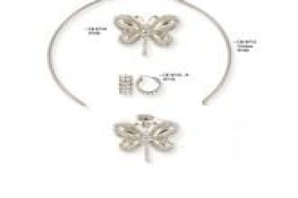 Classic Accessories Cc