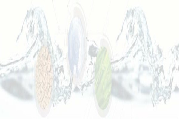 Clean Stream Scientific