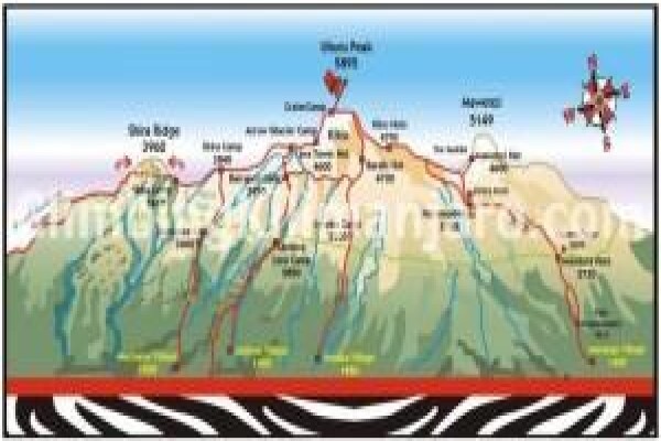 Climbing Kilimanjaro