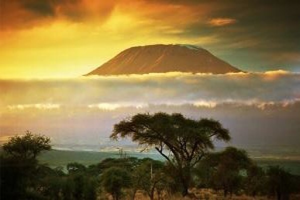 Climbing Kilimanjaro