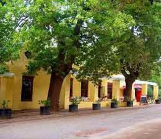 Oak & Vigne Cafe The