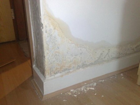C H E C K Home Inspections