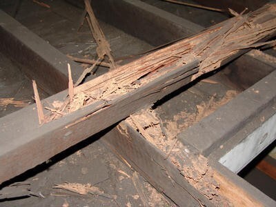 C H E C K Home Inspections