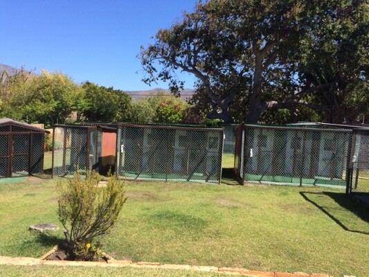Cher Boarding Cattery