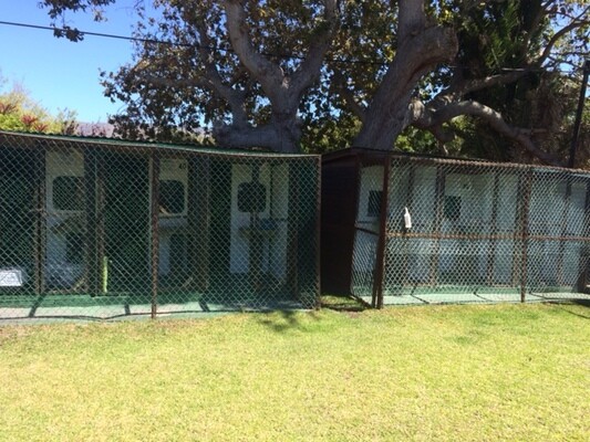 Cher Boarding Cattery
