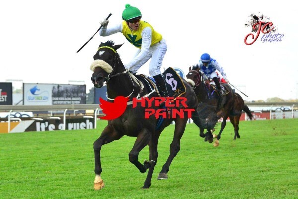 Cheveley Stud