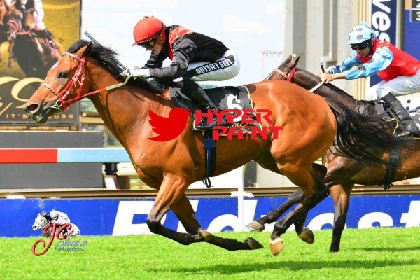Cheveley Stud