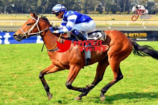 Cheveley Stud