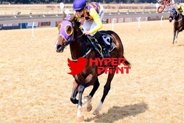 Cheveley Stud