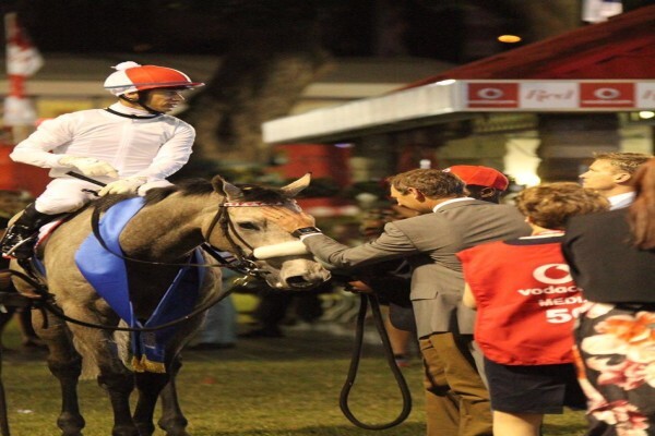 Cheveley Stud