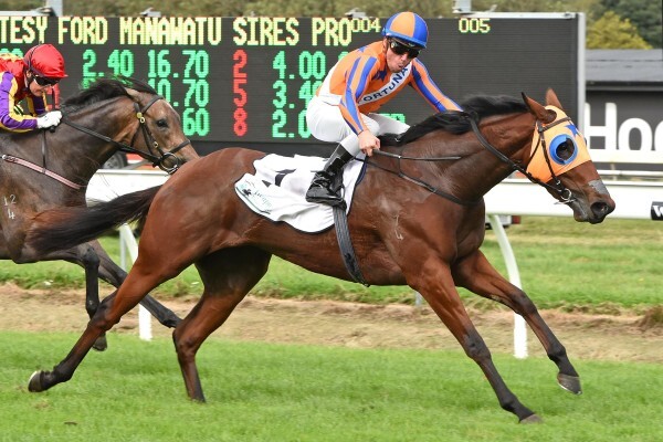 Cheveley Stud
