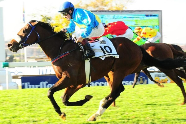 Cheveley Stud