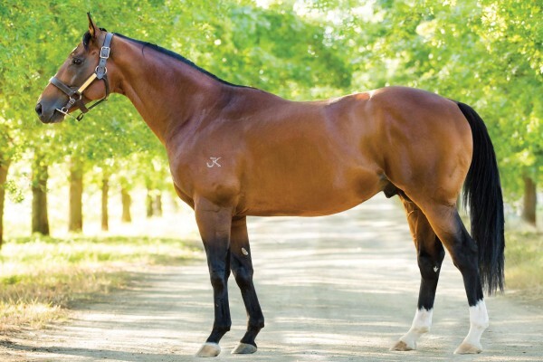 Cheveley Stud