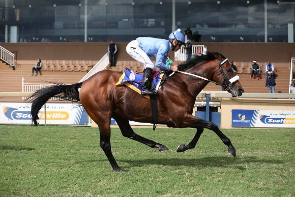 Cheveley Stud