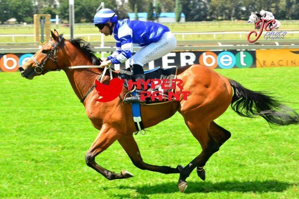 Cheveley Stud