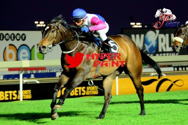 Cheveley Stud