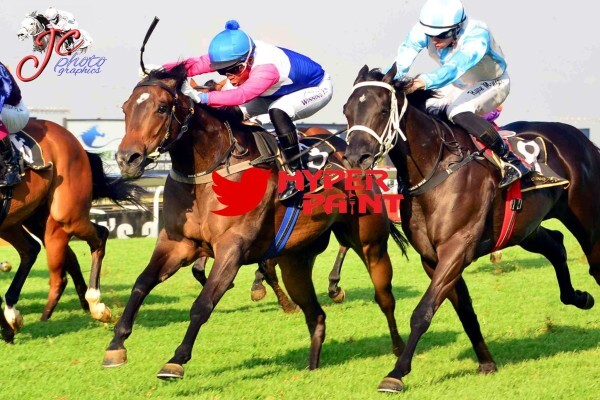 Cheveley Stud