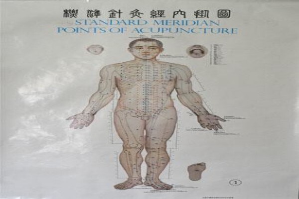 Chinaherb
