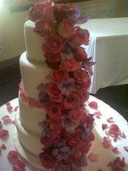 Chocodreamcakes