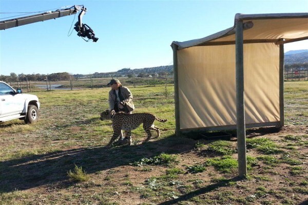 Crow'S Nest Jib