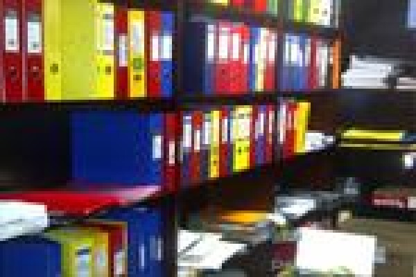Das Audit