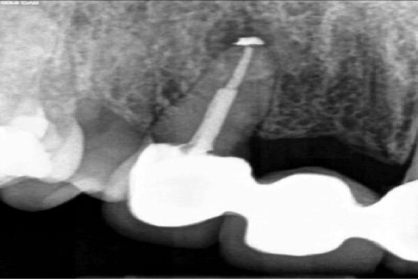 Dr. Bradley Stevan Dentist