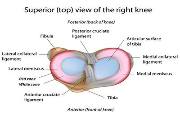 Dr. Richard Von Bormann - Orthopaedic Knee Surgeon