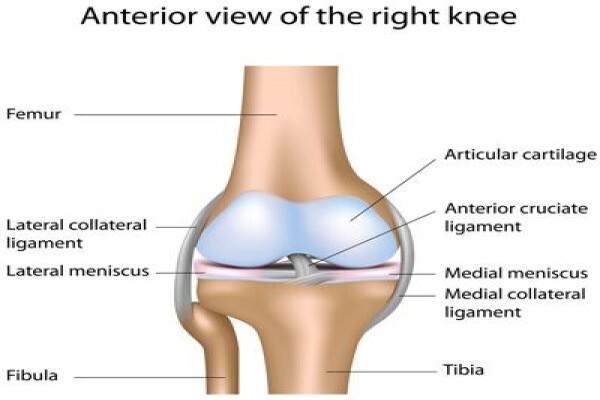 Dr. Richard Von Bormann - Orthopaedic Knee Surgeon