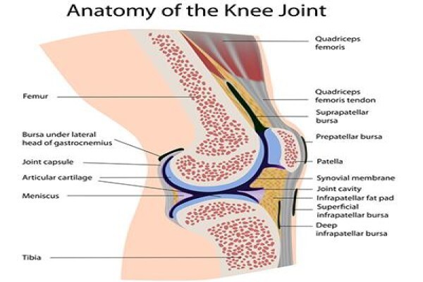 Dr. Richard Von Bormann - Orthopaedic Knee Surgeon