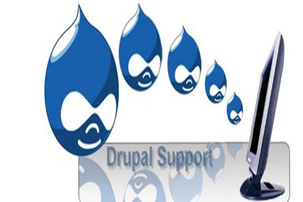 Drupal Expert