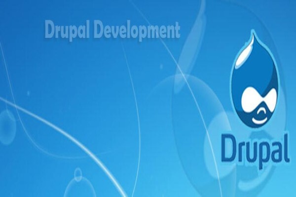 Drupal Expert