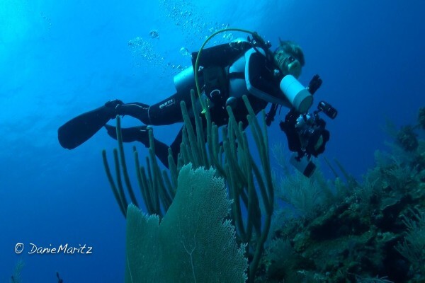 Diving World