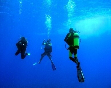 Divedeals Southern Africa