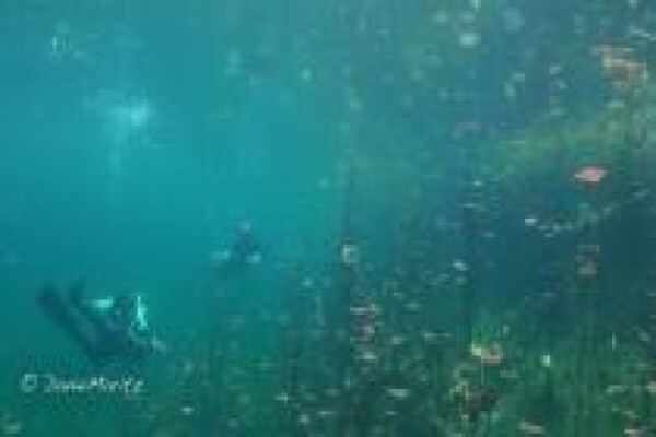 Diving World