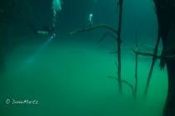 Diving World