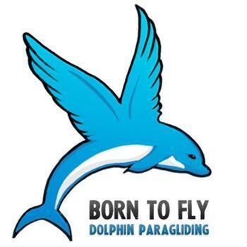 Dolphin Paragliding