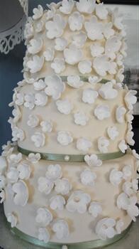 The Cake Box