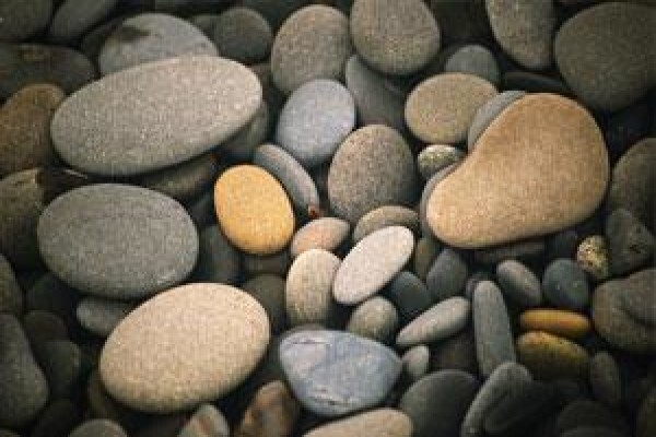 The Core Vision
