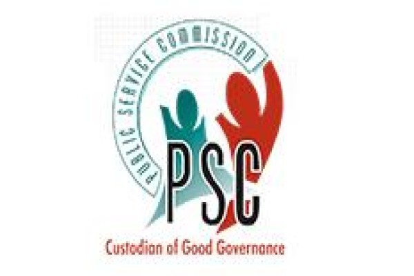 The Dpsa