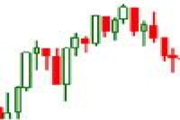 Themarket.Co.Za