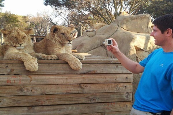 Themba Day Tours