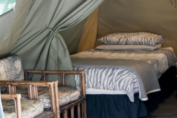 Themba Day Tours
