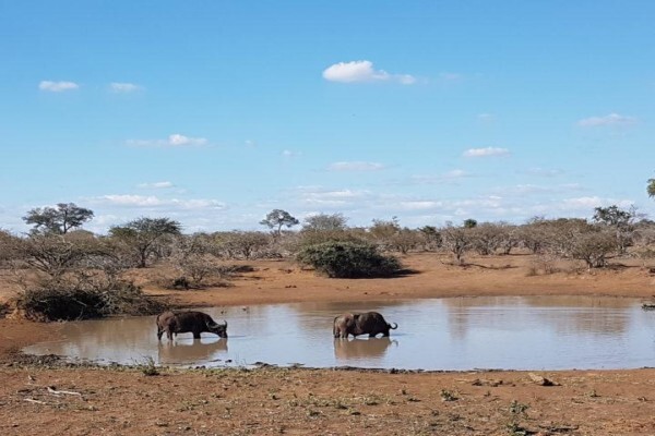 Themba Day Tours