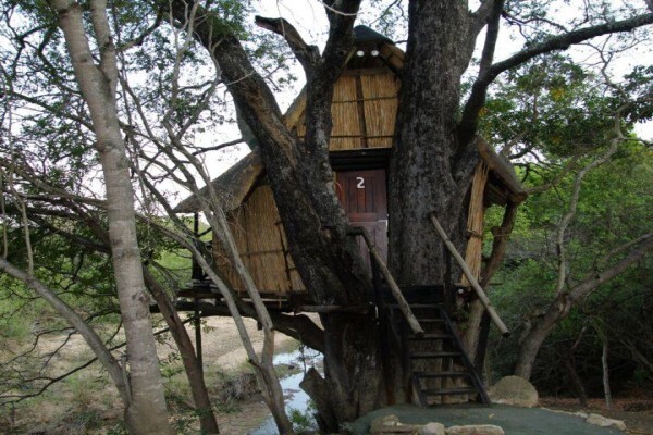 Themba Day Tours