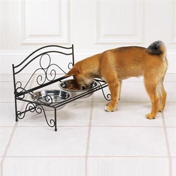 The Pampered Pooch